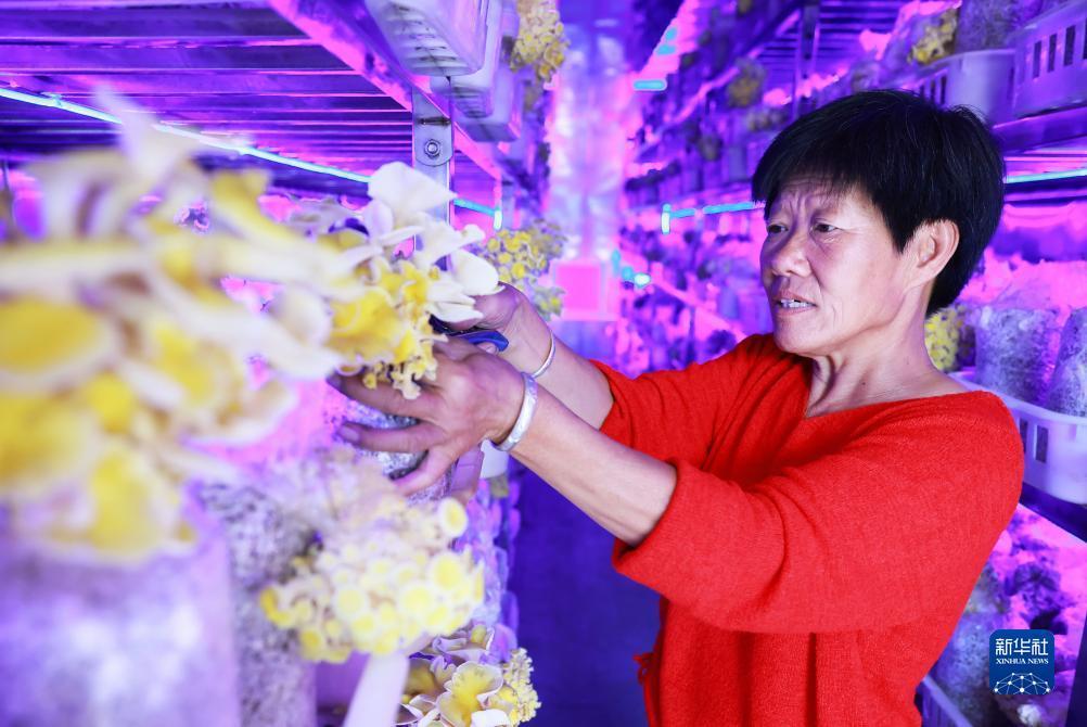 澳门娱乐美高梅网址